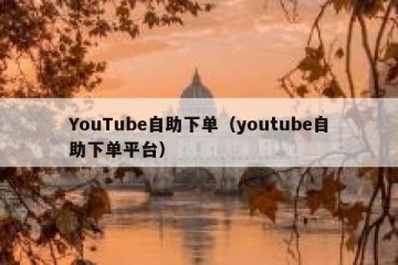 YouTube自助下单（youtube自助下单平台）