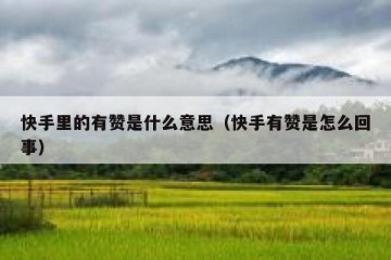 快手里的有赞是什么意思（快手有赞是怎么回事）