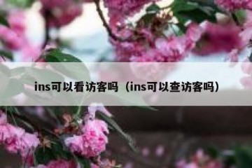 ins可以看访客吗（ins可以查访客吗）