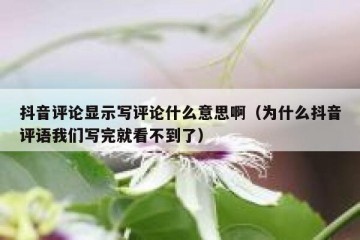 抖音评论显示写评论什么意思啊（为什么抖音评语我们写完就看不到了）