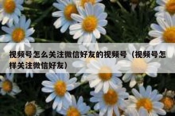 视频号怎么关注微信好友的视频号（视频号怎样关注微信好友）