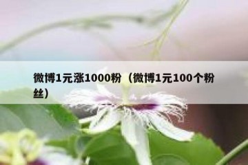 微博1元涨1000粉（微博1元100个粉丝）
