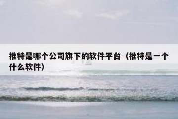 推特是哪个公司旗下的软件平台（推特是一个什么软件）