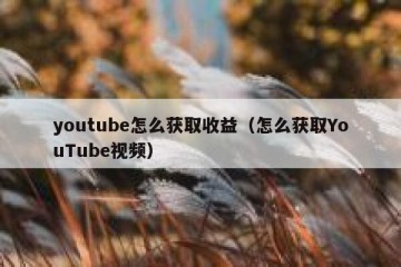 youtube怎么获取收益（怎么获取YouTube视频）