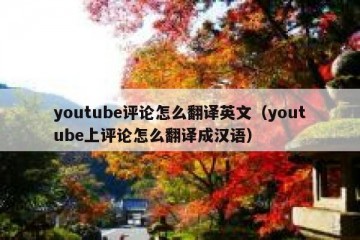 youtube评论怎么翻译英文（youtube上评论怎么翻译成汉语）