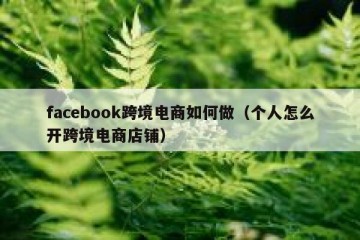 facebook跨境电商如何做（个人怎么开跨境电商店铺）