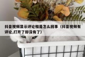 抖音视频显示评论框是怎么回事（抖音视频有评论,打开了却没有了）