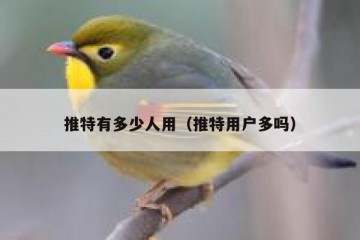 推特有多少人用（推特用户多吗）