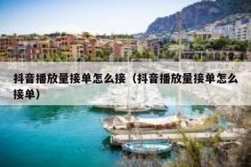 抖音播放量接单怎么接（抖音播放量接单怎么接单）