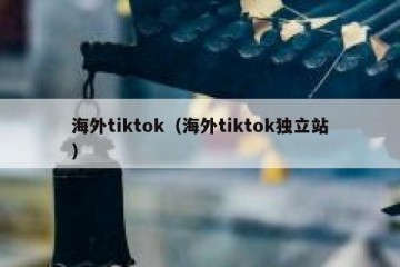 海外tiktok（海外tiktok独立站）