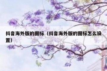 抖音海外版的图标（抖音海外版的图标怎么设置）