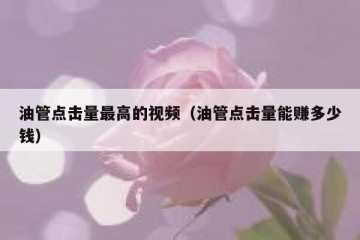 油管点击量最高的视频（油管点击量能赚多少钱）