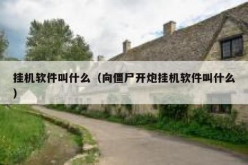 挂机软件叫什么（向僵尸开炮挂机软件叫什么）