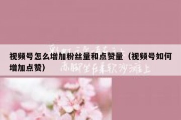 视频号怎么增加粉丝量和点赞量（视频号如何增加点赞）