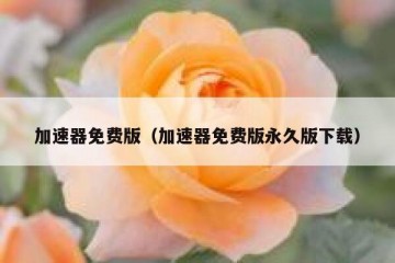 加速器免费版（加速器免费版永久版下载）