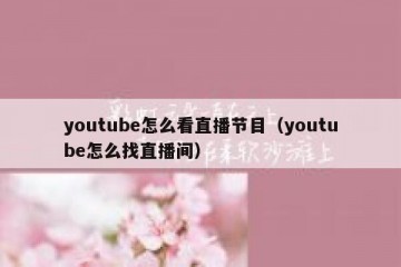 youtube怎么看直播节目（youtube怎么找直播间）