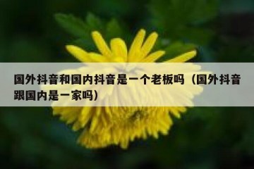 国外抖音和国内抖音是一个老板吗（国外抖音跟国内是一家吗）