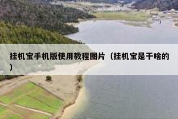 挂机宝手机版使用教程图片（挂机宝是干啥的）