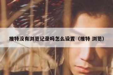 推特没有浏览记录吗怎么设置（推特 浏览）