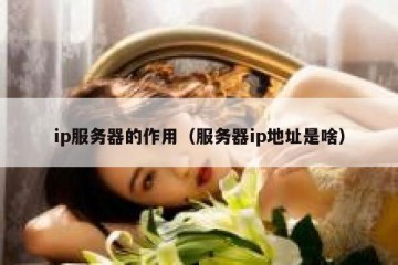 ip服务器的作用（服务器ip地址是啥）