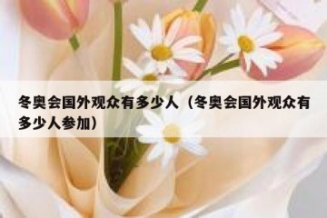 冬奥会国外观众有多少人（冬奥会国外观众有多少人参加）