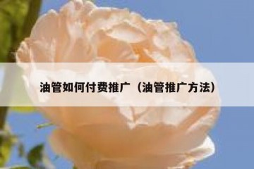 油管如何付费推广（油管推广方法）