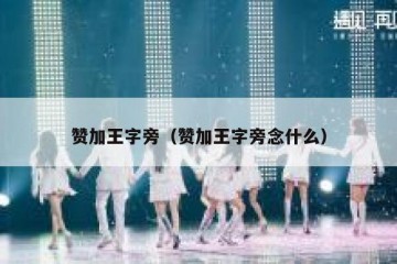 赞加王字旁（赞加王字旁念什么）