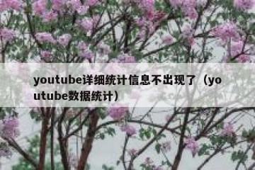 youtube详细统计信息不出现了（youtube数据统计）