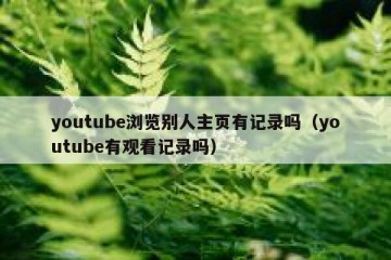youtube浏览别人主页有记录吗（youtube有观看记录吗）