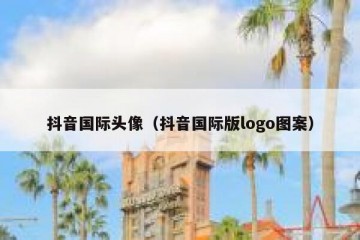 抖音国际头像（抖音国际版logo图案）