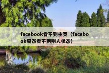 facebook看不到主页（facebook突然看不到别人状态）