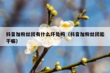 抖音加粉丝团有什么坏处吗（抖音加粉丝团能干嘛）