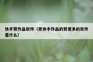 快手赞作品软件（弄快手作品的赞更多的软件是什么）