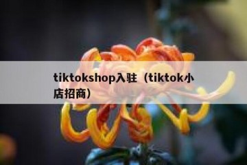 tiktokshop入驻（tiktok小店招商）