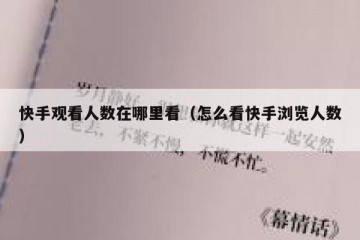 快手观看人数在哪里看（怎么看快手浏览人数）