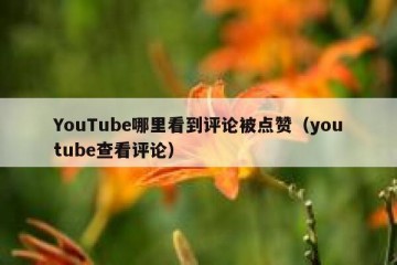 YouTube哪里看到评论被点赞（youtube查看评论）