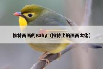 推特画画的Baby（推特上的画画大佬）