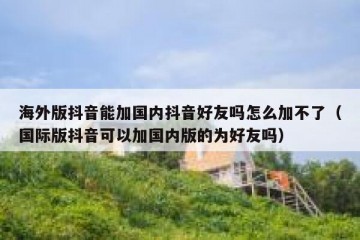 海外版抖音能加国内抖音好友吗怎么加不了（国际版抖音可以加国内版的为好友吗）