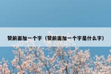 赞前面加一个字（赞前面加一个字是什么字）