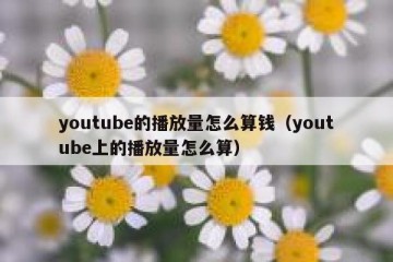 youtube的播放量怎么算钱（youtube上的播放量怎么算）