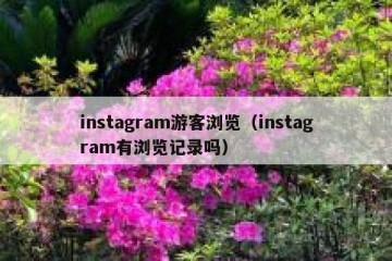 instagram游客浏览（instagram有浏览记录吗）
