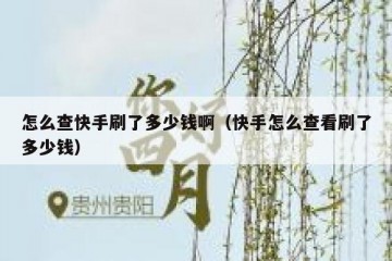 怎么查快手刷了多少钱啊（快手怎么查看刷了多少钱）