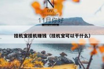 挂机宝挂机赚钱（挂机宝可以干什么）