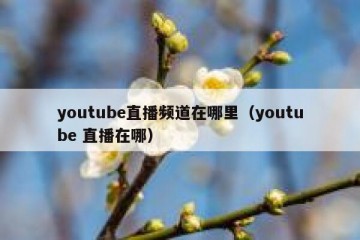 youtube直播频道在哪里（youtube 直播在哪）