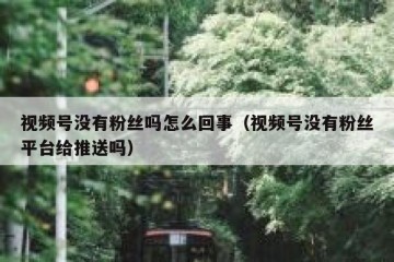 视频号没有粉丝吗怎么回事（视频号没有粉丝平台给推送吗）
