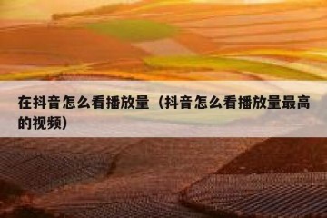 在抖音怎么看播放量（抖音怎么看播放量最高的视频）