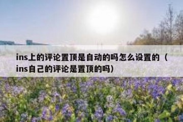 ins上的评论置顶是自动的吗怎么设置的（ins自己的评论是置顶的吗）