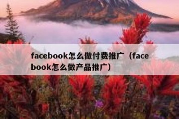 facebook怎么做付费推广（facebook怎么做产品推广）