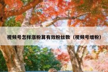 视频号怎样涨粉算有效粉丝数（视频号增粉）