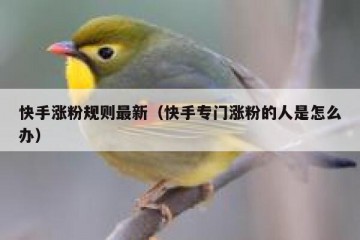 快手涨粉规则最新（快手专门涨粉的人是怎么办）